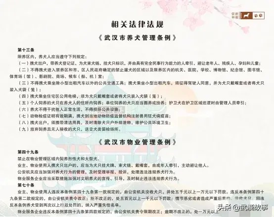 武汉市狗狗身份证：你了解多少让我们一起揭开神秘面纱！