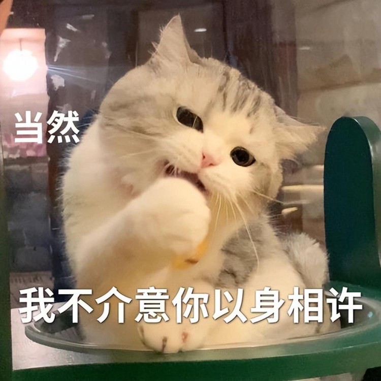 猫咪这些行为，是它“生活幸福”的证据！