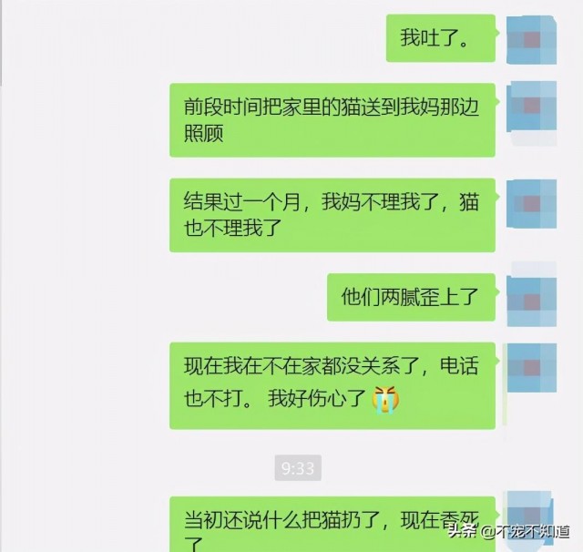 父母说养宠物会断绝关系 养育后真香…