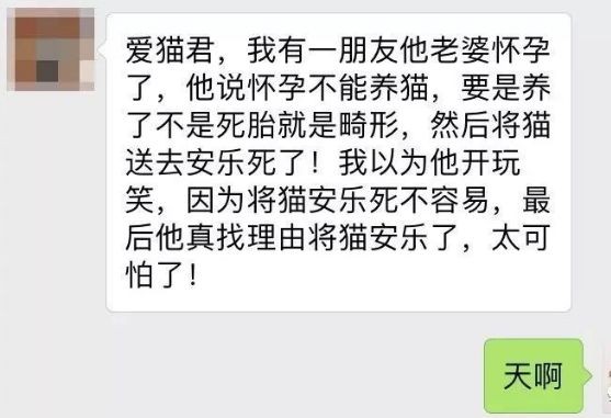 养宠物会对孕妇有影响？别被这样的谣言，把你的智商降低了